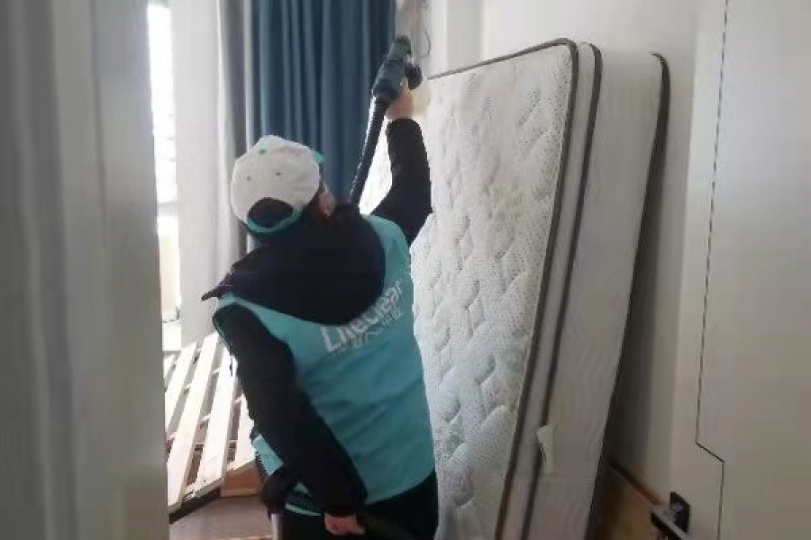 上海市浦东新区新场镇新环西路